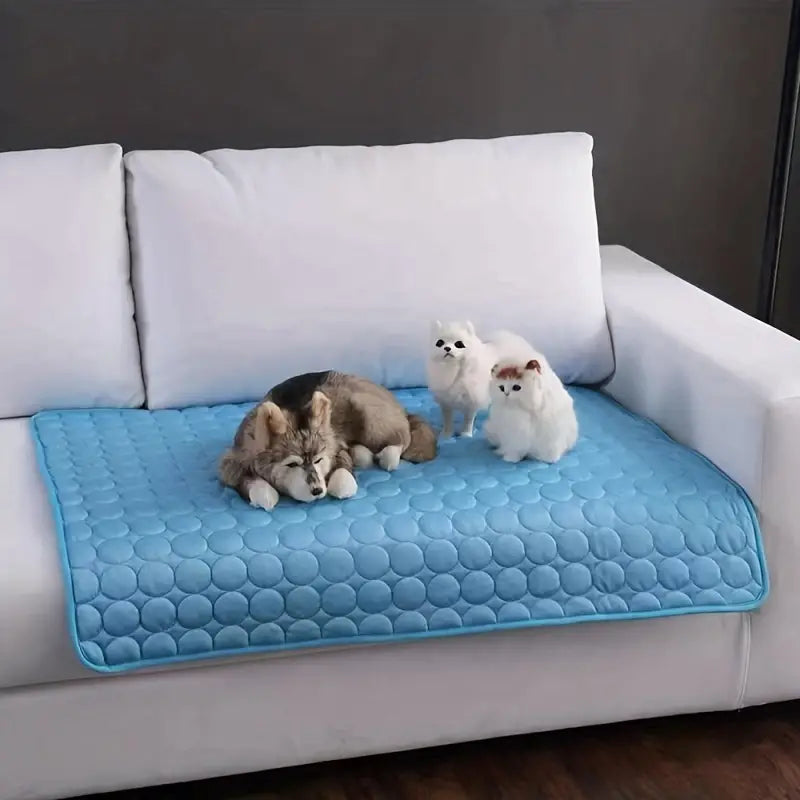 Comfortabele en Verfrissende Zomer Koelmat Waterabsorberende Slaapmat Verkoeling voor Huisdieren