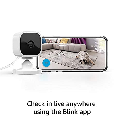 2 Blink-Mini-Kameras 